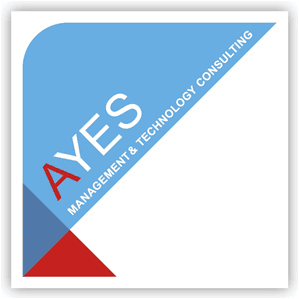 AYES Management & Technology Consulting